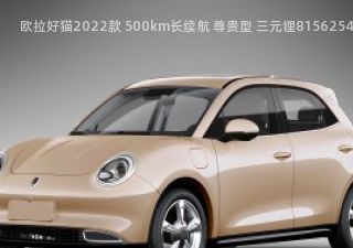 2022款 500km长续航 尊贵型 三元锂拆车件客服台