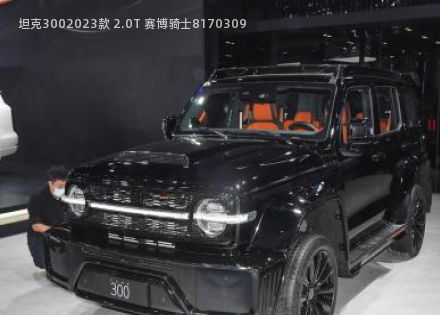 2023款 2.0T 赛博骑士